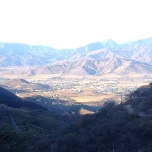 Meet your Posher, Moises